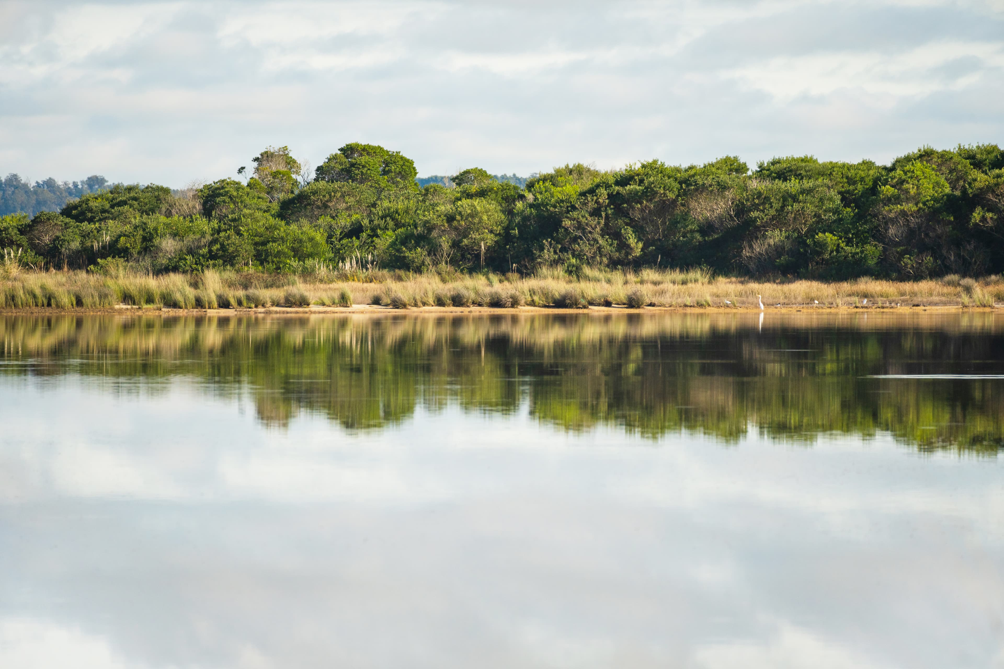 Nature background