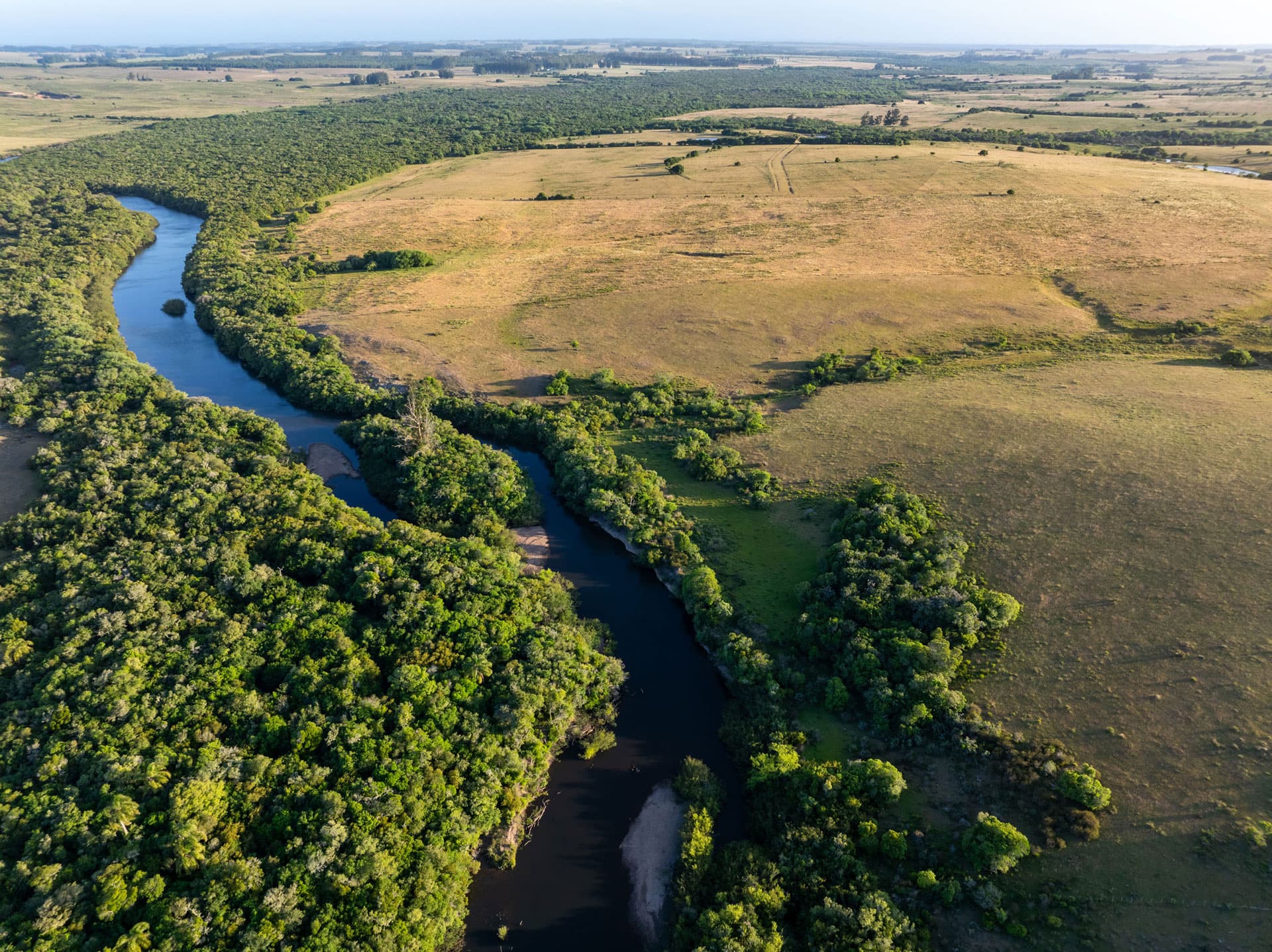 https://api.biosfera-austral.com/wp-content/uploads/2024/12/Copia-de-Campo-I_Asierfilms-37.jpg