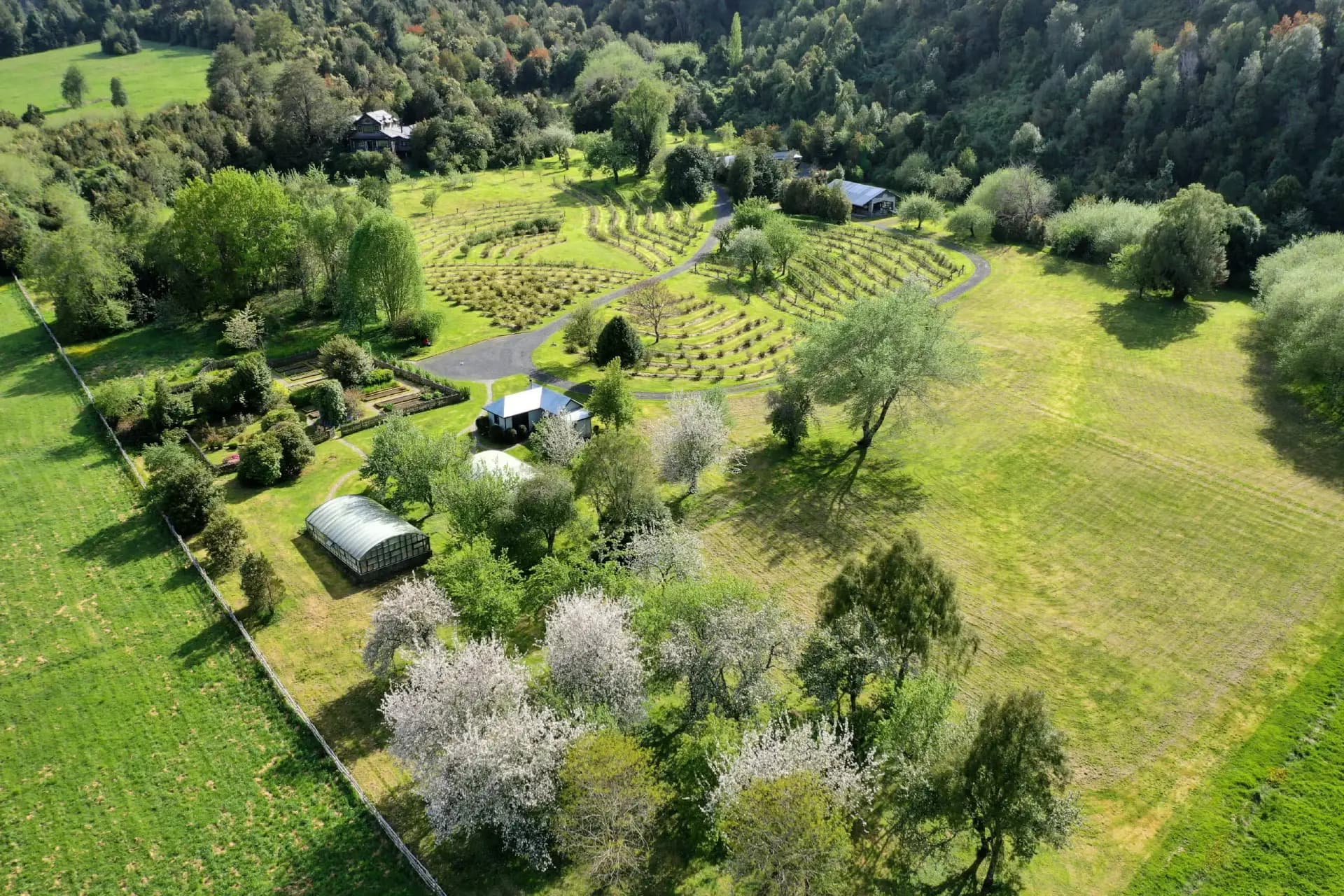 https://api.biosfera-austral.com/wp-content/uploads/2024/12/image-12.webp