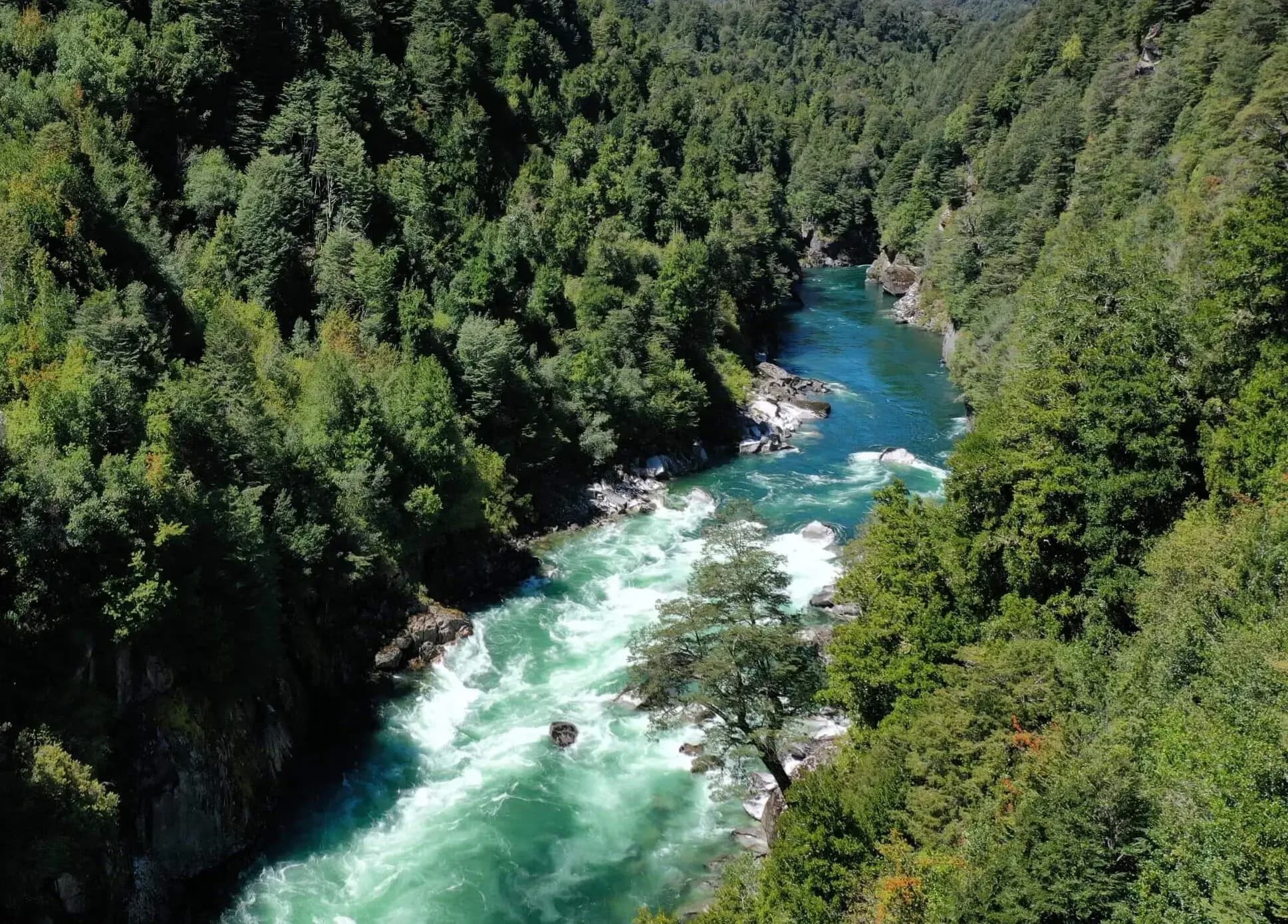 https://api.biosfera-austral.com/wp-content/uploads/2024/12/image-2_2_11zon-e1735617527180.webp