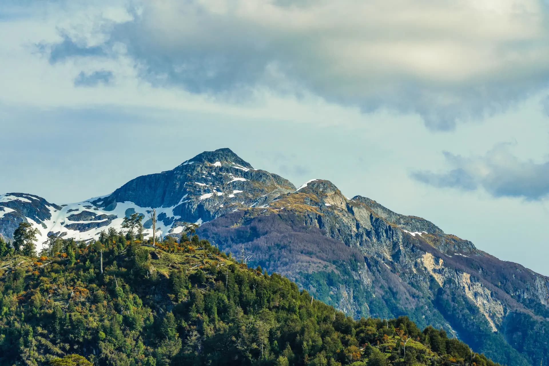 La conservación medioambiental no es sólo un asunto del Estado
