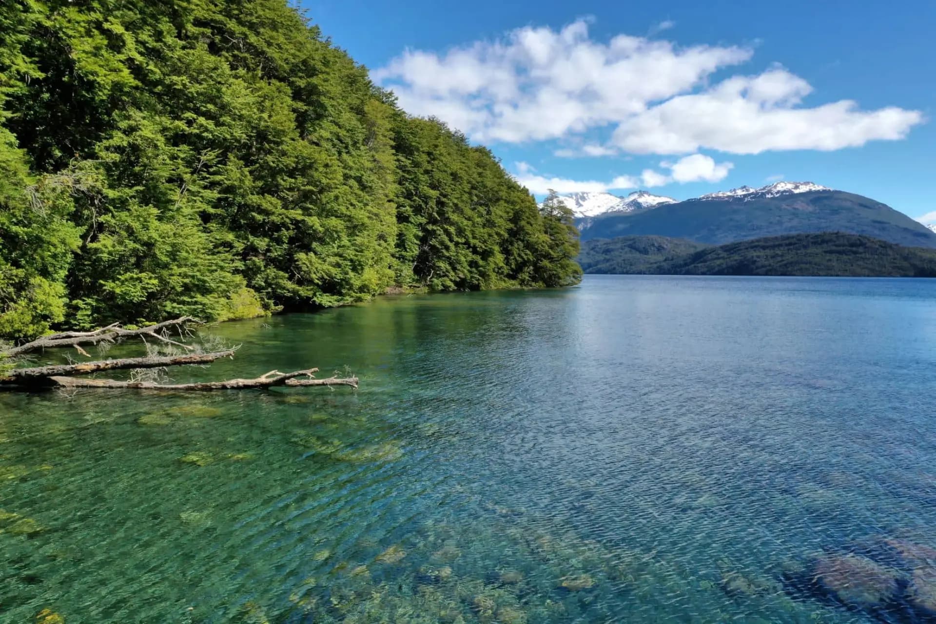 Hay diversas formas en las que los privados pueden aportar en la conservación del patrimonio ambiental, y una de ellas es a través del Derecho Real de Conservación