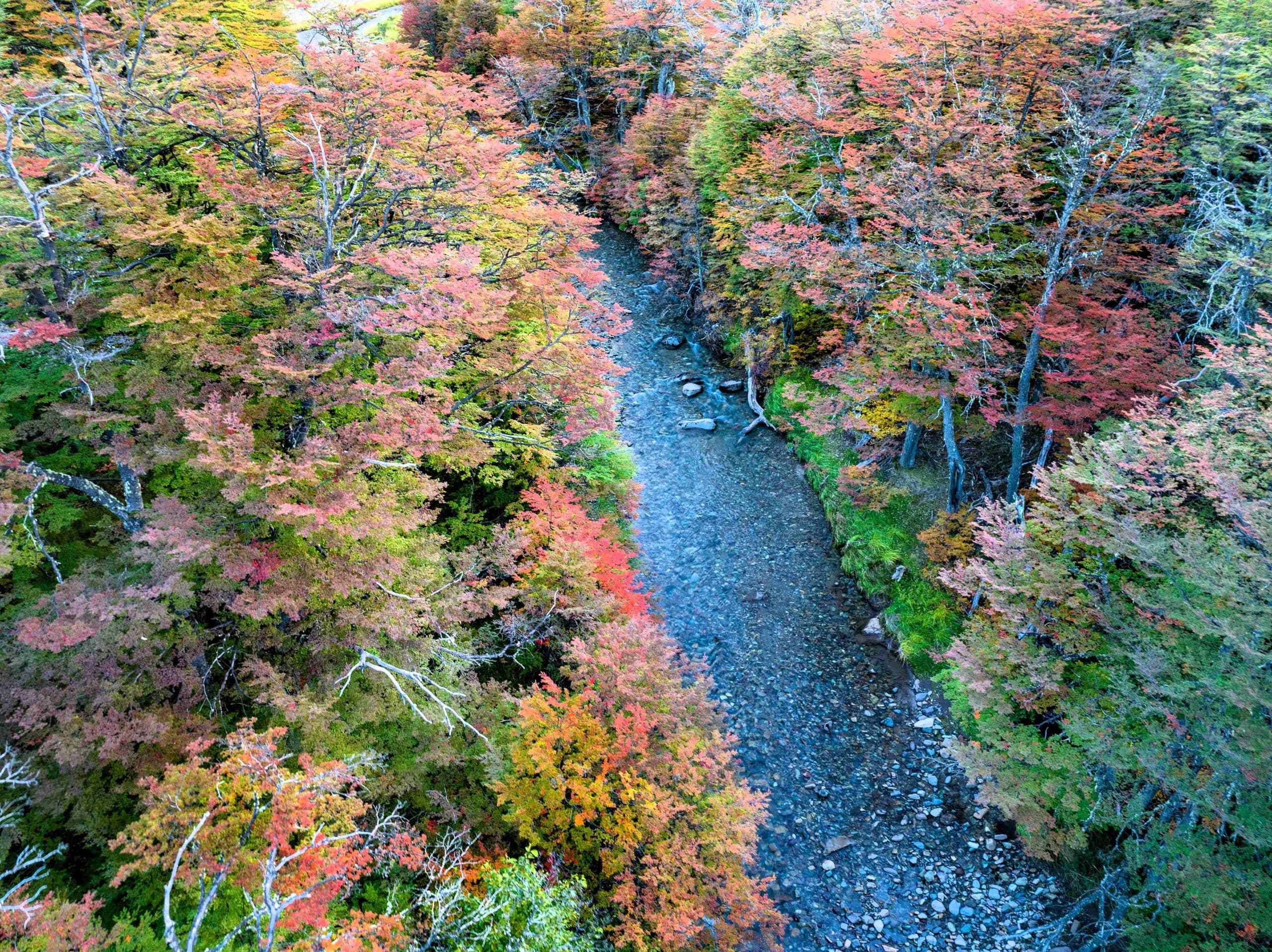 https://api.biosfera-austral.com/wp-content/uploads/2025/09/DJI_0170-HDR-1-2mb-scaled.jpg